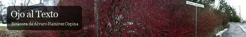 Ojo al Texto
